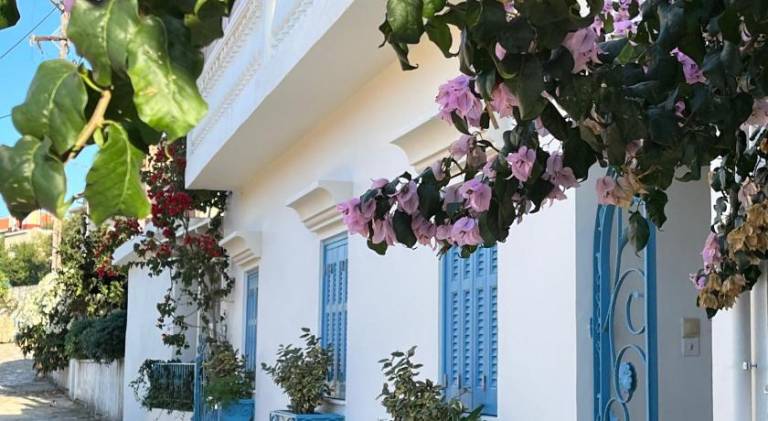 Rental apartment with 1 room for 3 persons in Kefalonia