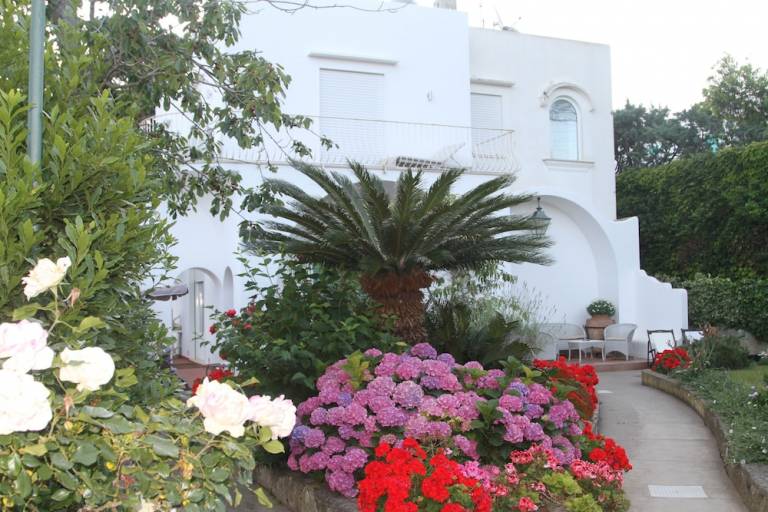 Prenočišče z zajtrkom  Capri
