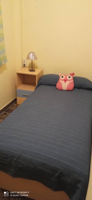 foto2