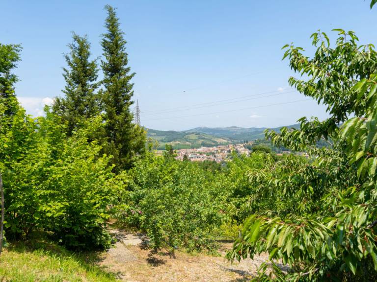 foto47