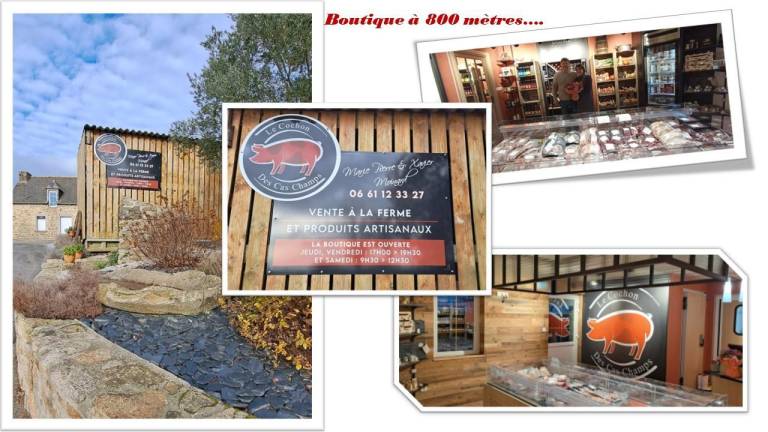 Charming gite with yard & patio | Dogs allowed — photo 3