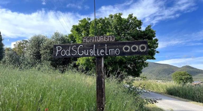 Farm with grill & yard in Castiglione della Pescaia