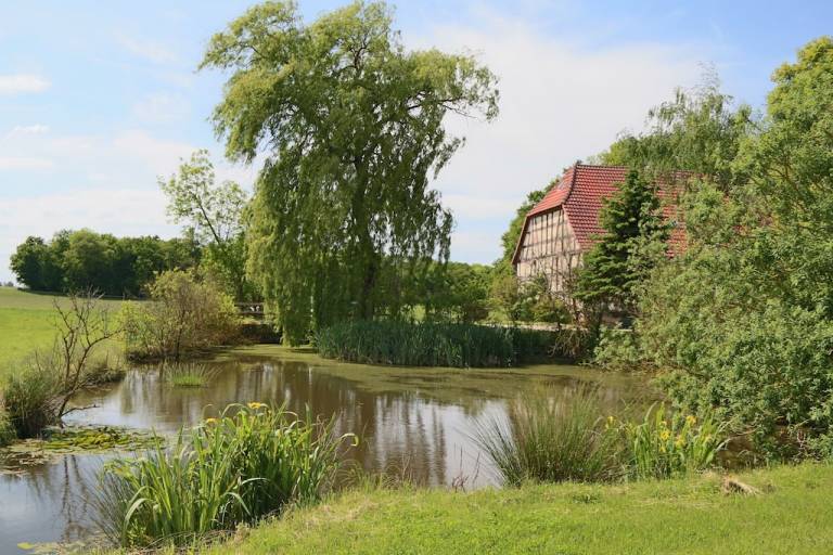 Ferienwohnung Altmannshausen