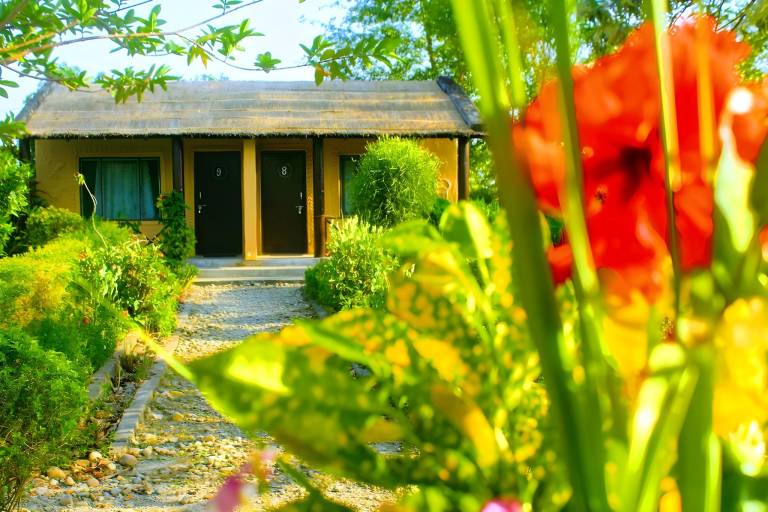 Bungalow with yard & barbeque | Pets allowed — photo 4