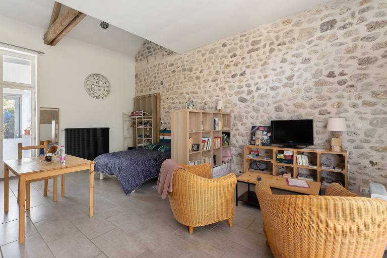 Fully equipped nice house with BBQ, terrace & garden | Garden view | Pet-friendly in Chinon