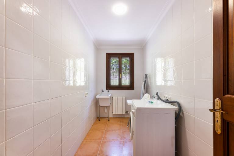 foto19