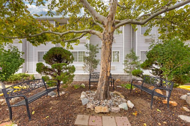 Best Western Fallon Inn & Suites — photo 5