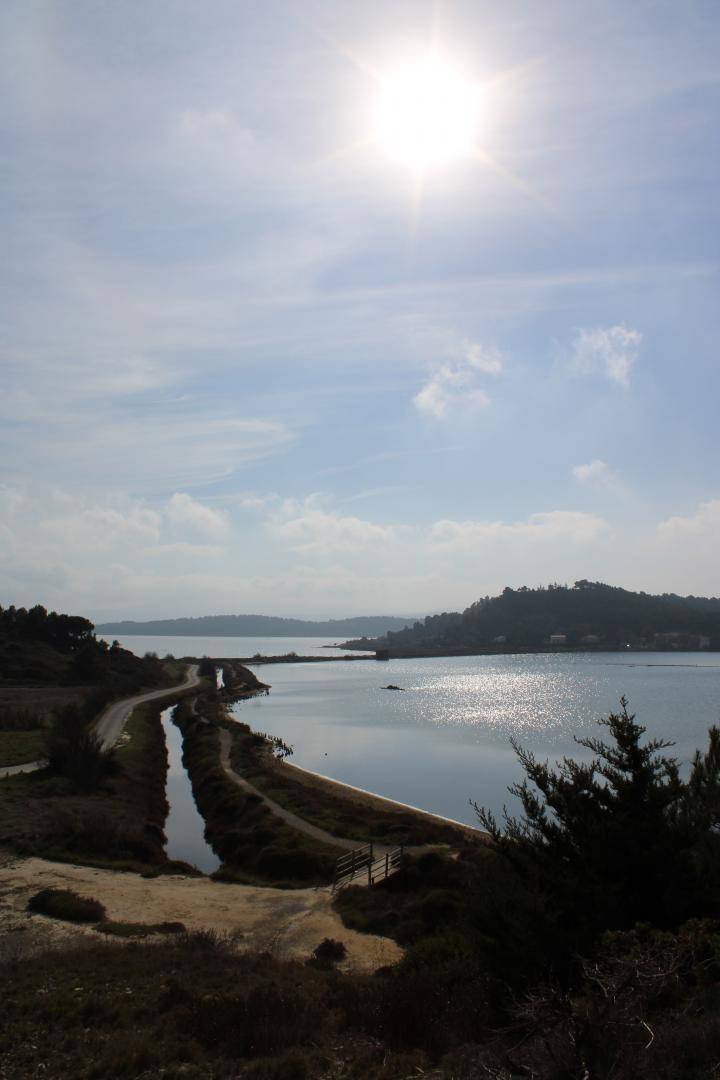 foto15