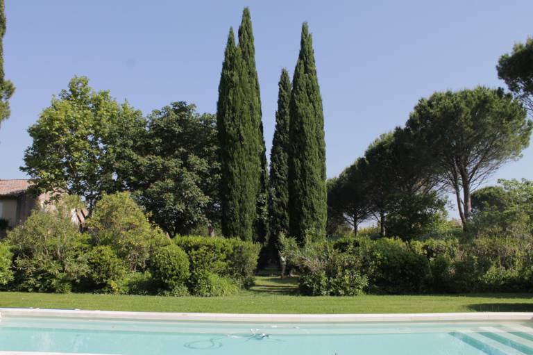 Le petit oiseau (2p) with pool in Chateaurenard — photo 5