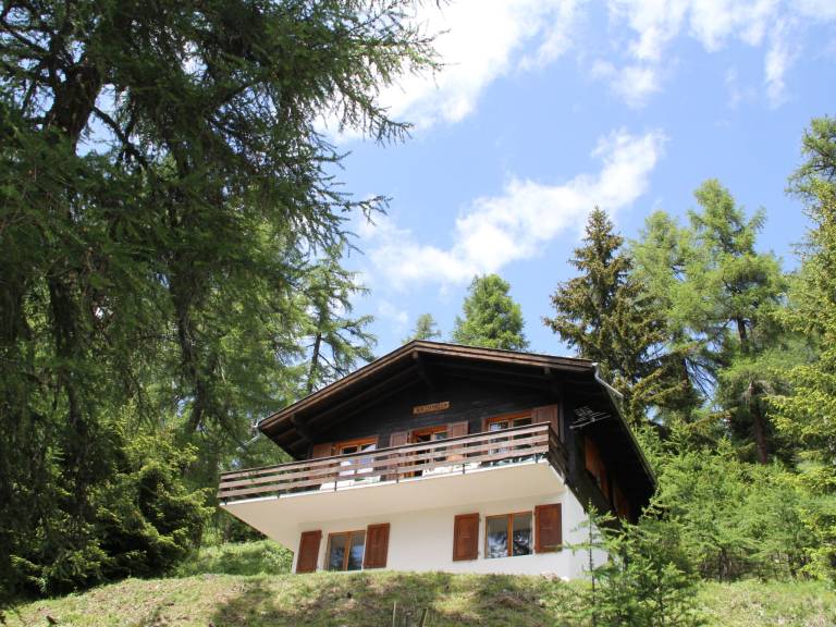 Ferienhaus in Bellwald für max. 6 Personen Ferienhaus in Bellwald für max. 6 Personen