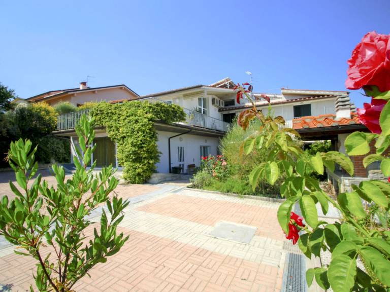 foto1