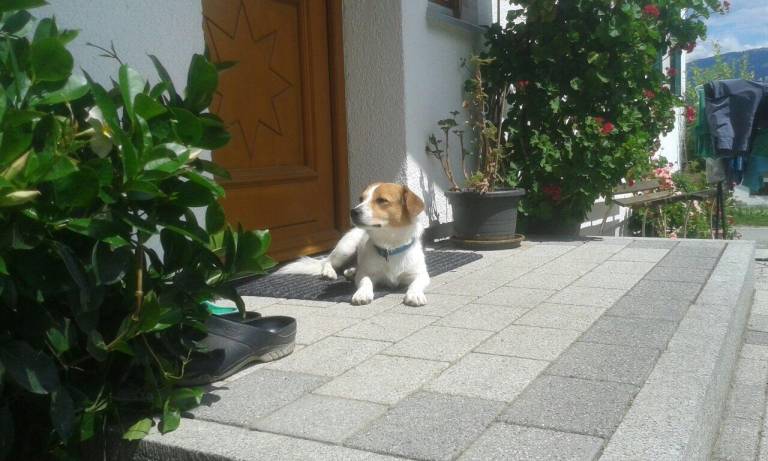 foto14