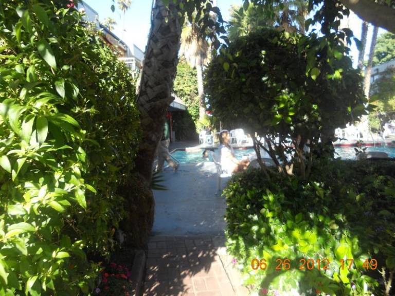 foto40