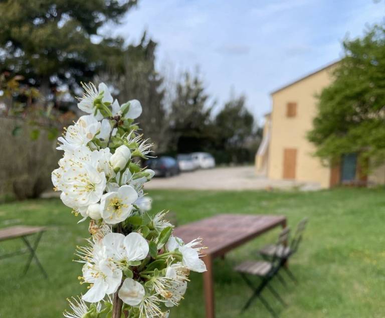 Agriturismo Conero: Trilocale primo piano — photo 4