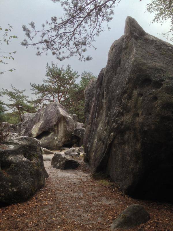 foto11