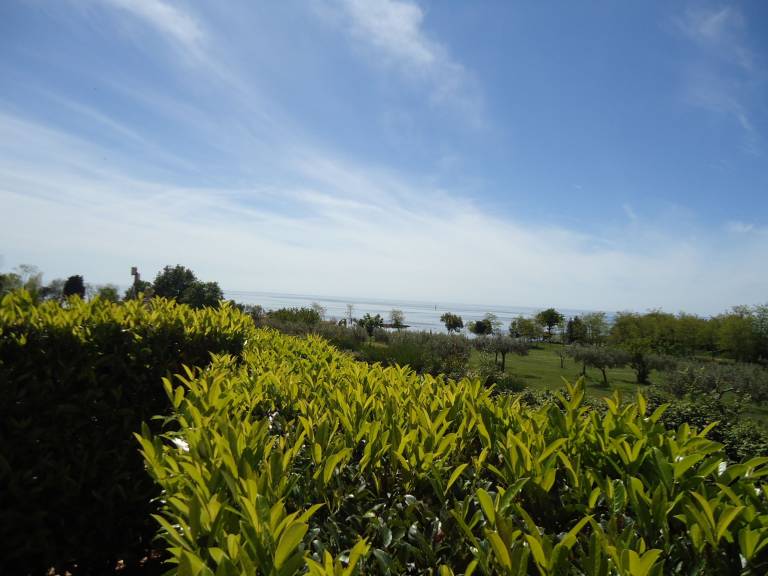 Wonderful rental apartment with grill | Garden view | Next to the beach | Dogs allowed — photo 2