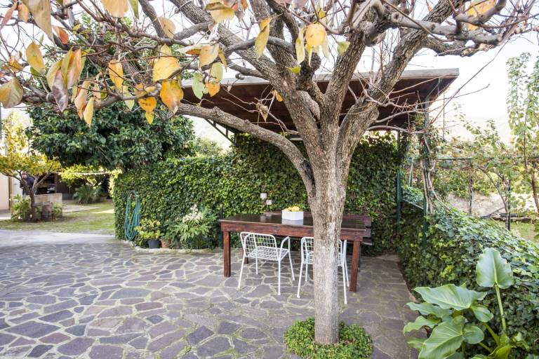 APPARTAMENTI MARCIANA MARINA - APPARTAMENTO L'EDERA — photo 4