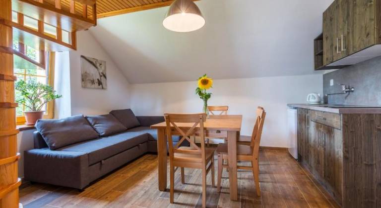 Pension Tereza & Sumavske Roubenky — photo 2