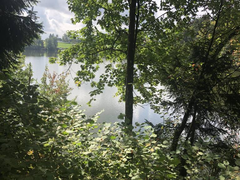 foto44