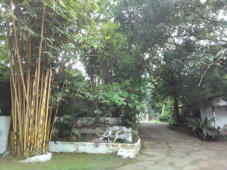 foto2