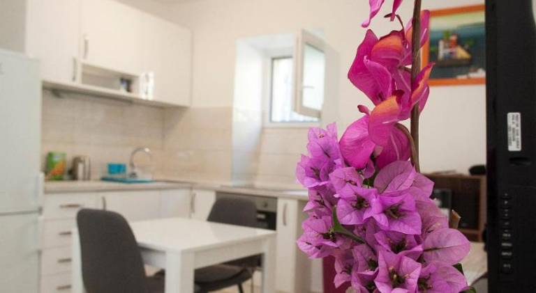 Rental apartment | Close to Diocletian's Palace | Pet-friendly in Split
