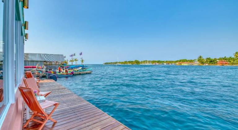 Bocas Paradise Hotel — photo 4