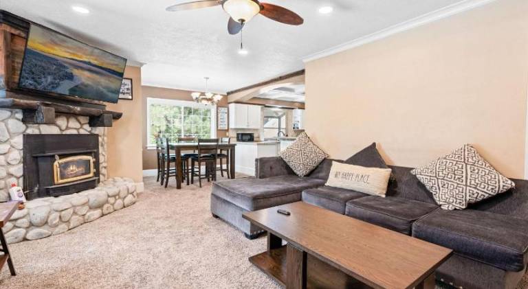 Vacation home | Pet-friendly — photo 4