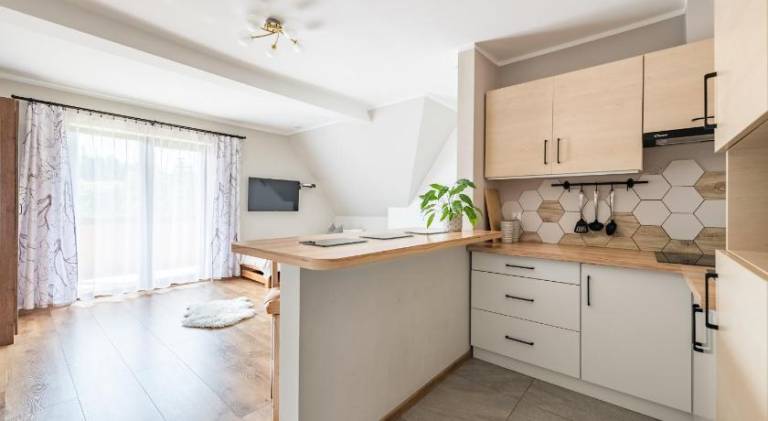 Rental apartment with yard | Pets are welcome — photo 2