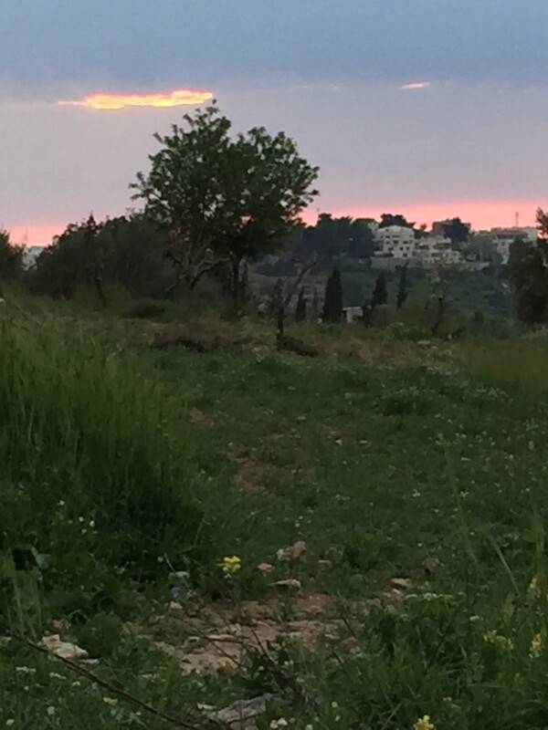foto10