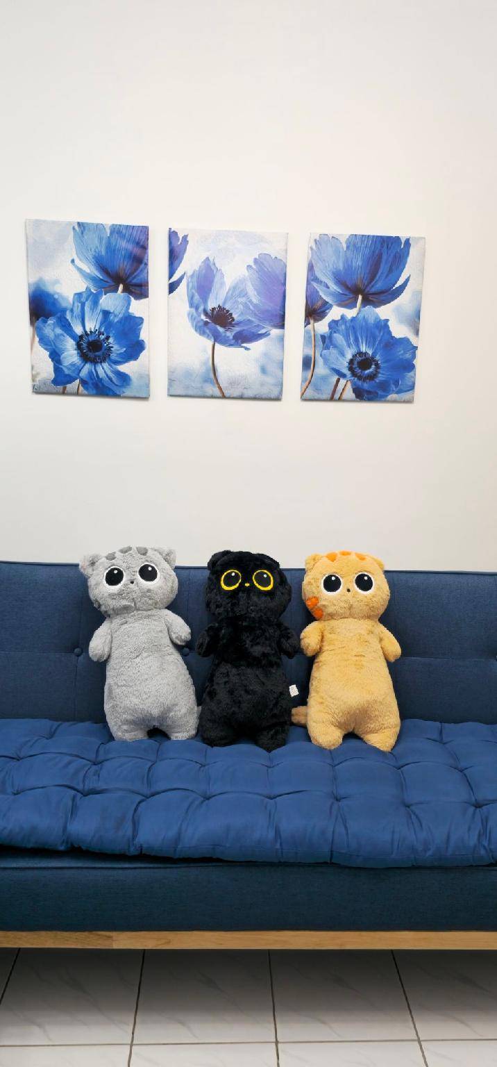 foto38