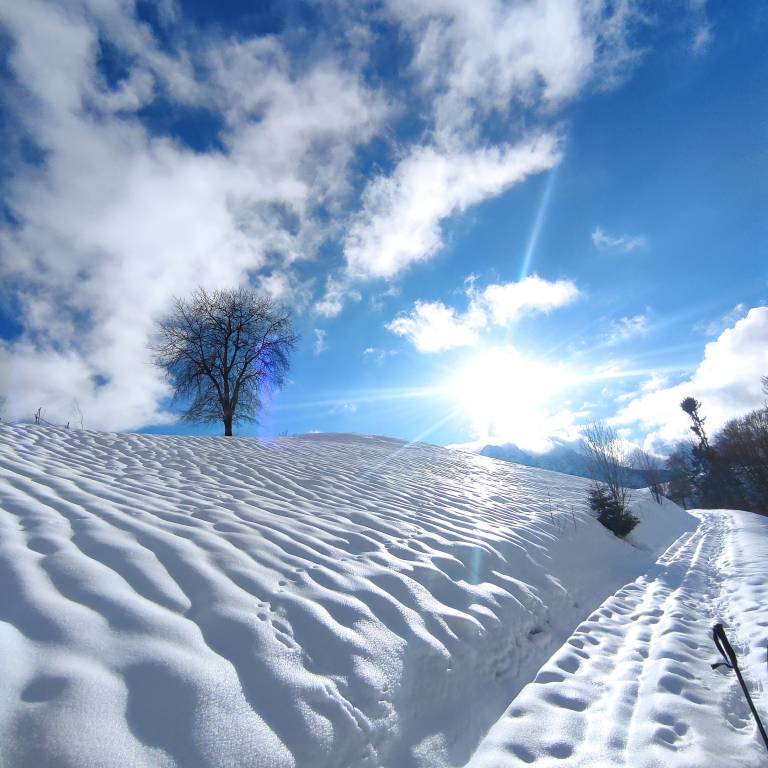 Appartamento vacanza Roncobello