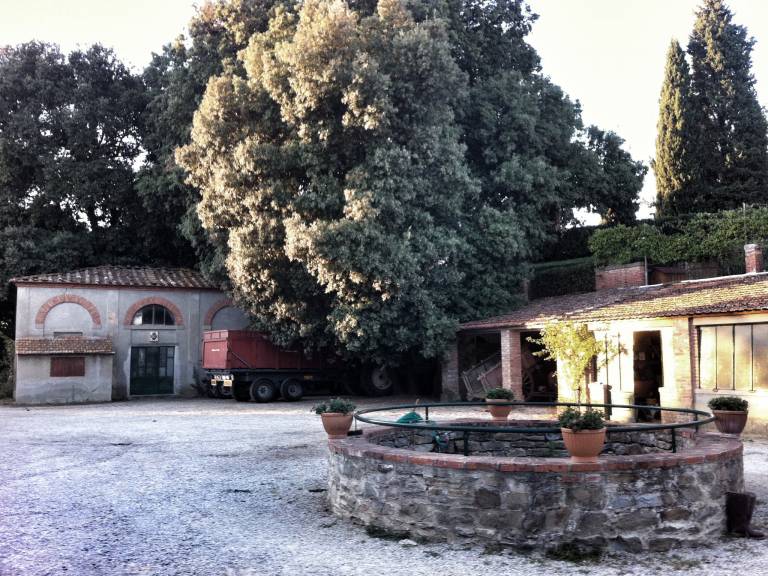 foto21