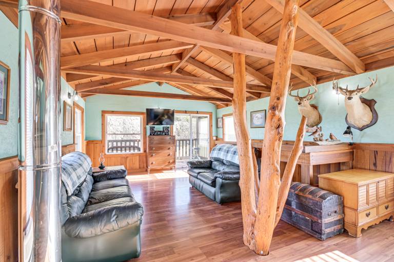Peaceful ‘Mountain Cabin’ w/ Views in Williamsburg — photo 3