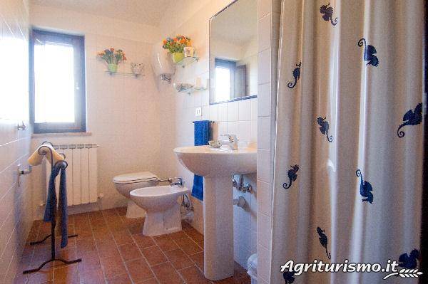 foto44