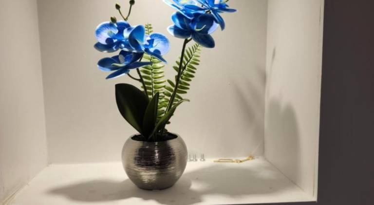 foto26