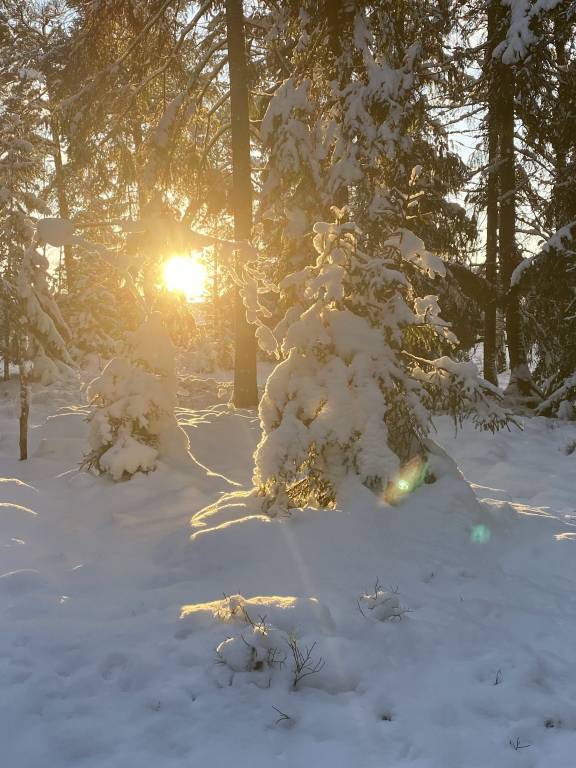 Ferienwohnung Järna