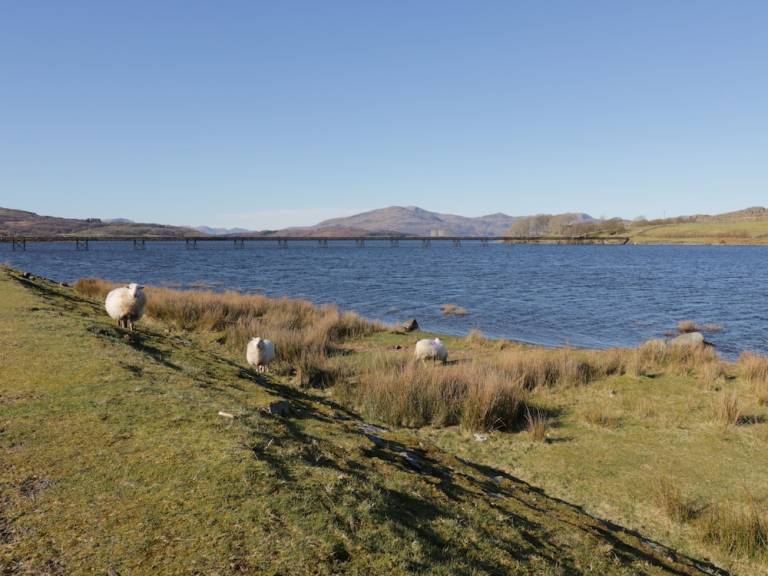 Cottage Trawsfynydd