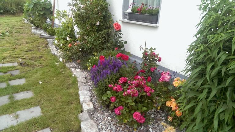 foto20