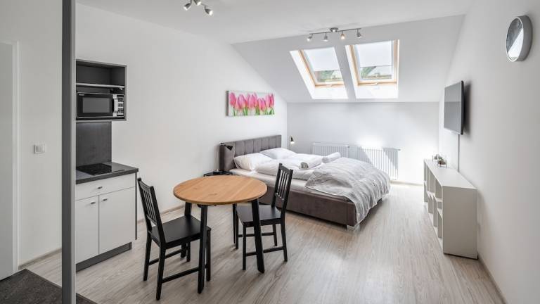 Apartmán Nové Město pod Smrkem