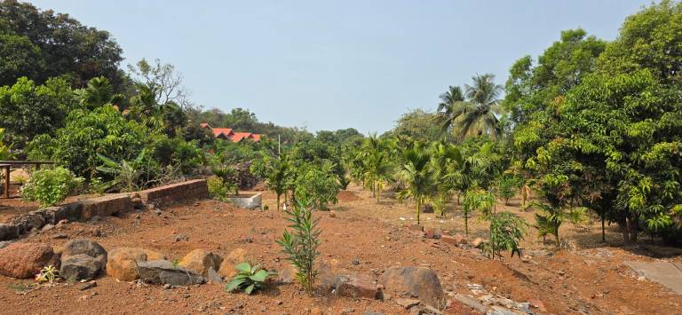 Ketki Aamrai Resort — photo 3