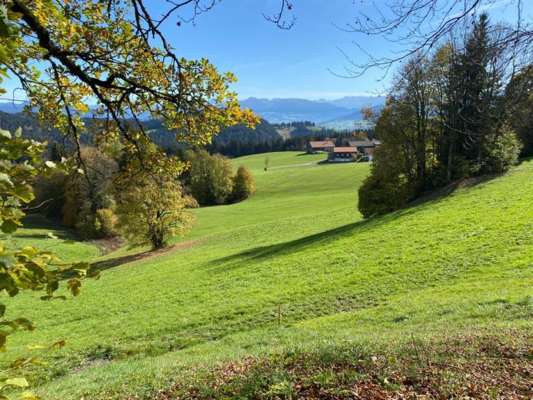 foto17
