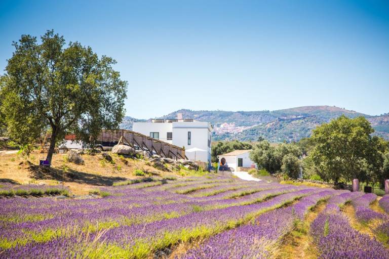 Farmhouse  Senhora da Luz
