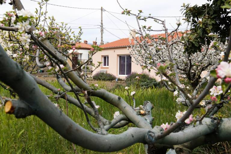 Maison de vacances  Prades
