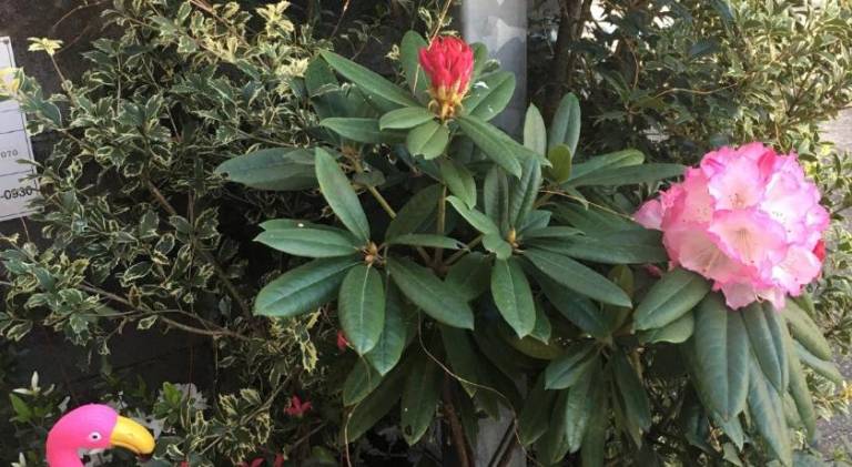 foto11