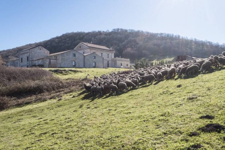 Masseria Salecchia: Camera Ginestra — photo 3