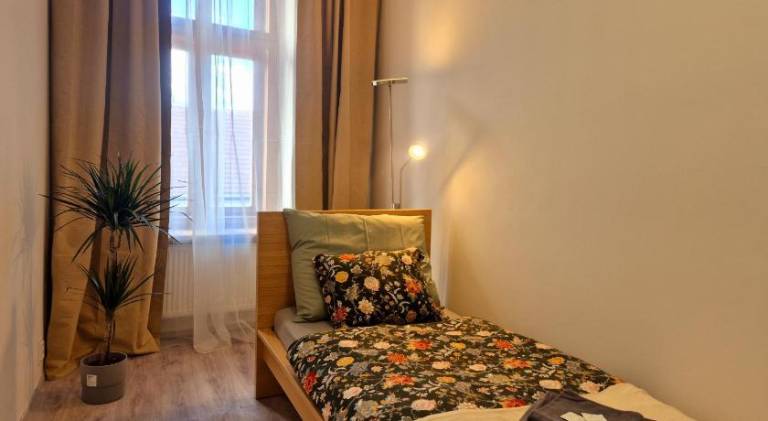 Holiday apartment | Near Špilberk Castle | Pets are welcome — photo 4