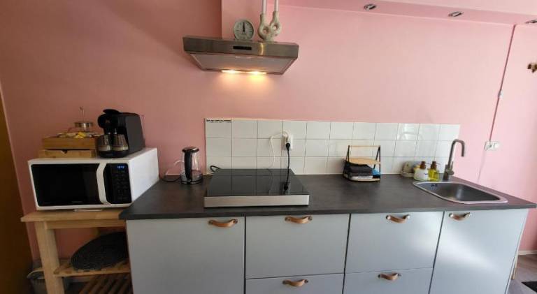Appartement 3 met terras aan de tuin van Op de Roemte — photo 4