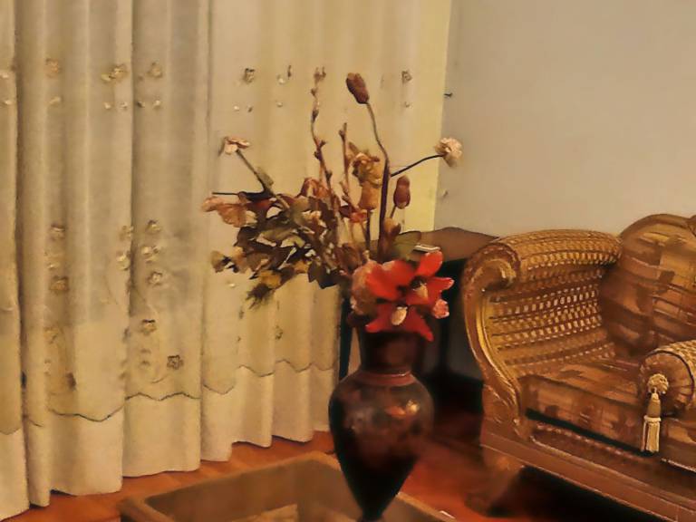 foto12