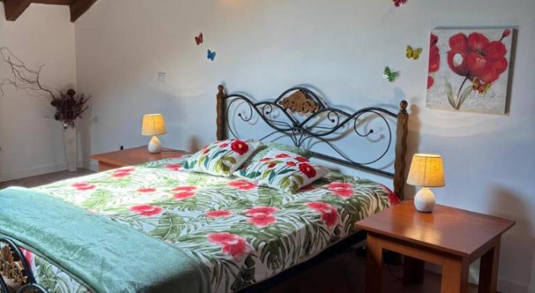 Apartment | Pets are welcome in Novara