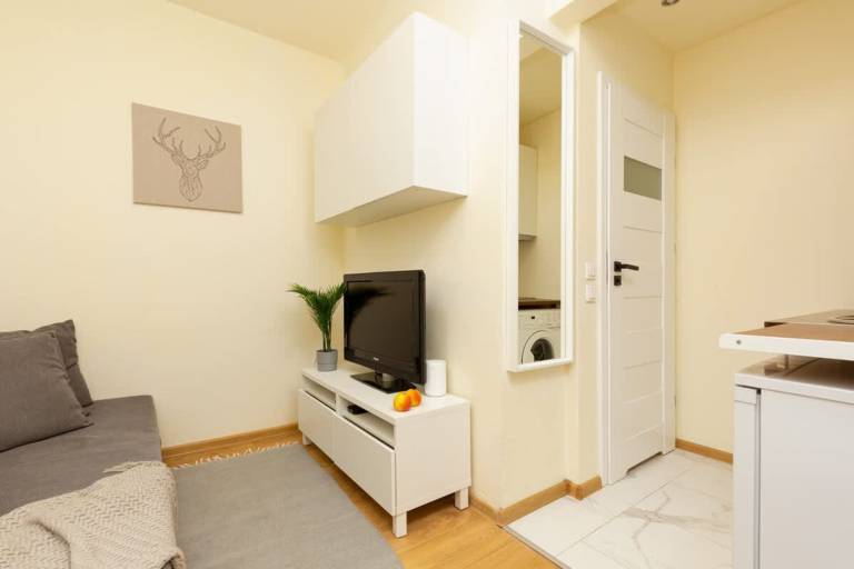 Studio for 2 persons — photo 2